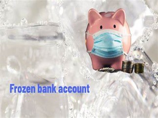 Frozen Piggy Bank